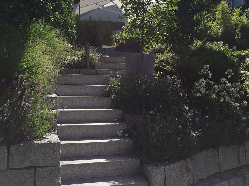 Aufgang im Garten