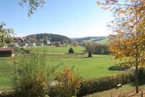 Naturpark Bayerischer Wald: Großes Landhaus m. Nebengebäuden u. ca. 8000 m² parkähnlichen Grundstück – Regen (Kreis) – Vorschaubild 7