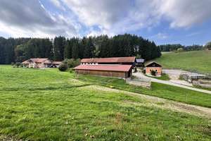 Einzigartiger Pferdehof in traumhafter Alleinlage – Naturparadies mit Wiesen, Wald und Pferdehaltung – Die vollständige Adresse der Immobilie erhältst du vom Anbieter., 84533 Marktl – Vorschaubild 25