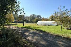 10 ha Anwesen mit großem Haus und Gewerbehalle – Nordsachsen (Kreis) – Vorschaubild 11