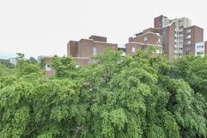 Penthouse mit Weitblick: Lichtdurchflutete Eleganz und großzügige Dachterrasse – Zur alten Kaserne 54, 40470 Mörsenbroich, Düsseldorf – Vorschaubild 8