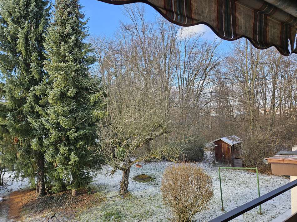 Ausblick Balkon auf den Garten