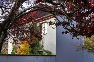 „Hier stört Ihre laute Musik keinen.“
Freistehendes helles Stadthaus mit viel Privatsphäre – Die vollständige Adresse der Immobilie erhältst du vom Anbieter., 7407 Rudolstadt – Vorschaubild 7