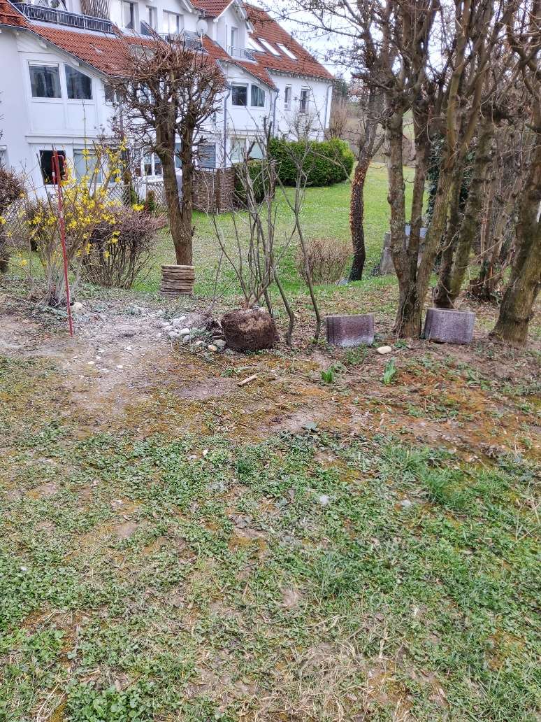 Freie 4-Zimmer-Wohnung im EG mit Wintergarten und Garten, TG-Stellplatz und Außen-Stellplatz, Böblingen Kreis – Bild 4