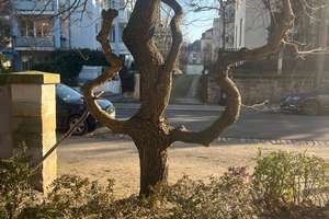 Property thumbnail 20