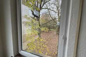 Reduzierter Preis - provisionsfrei - Repräsentative Villa mit Hinterhaus und großem Garten – Hauptstr 87, 74915 Rhein-Neckar-Kreis – Vorschaubild 11