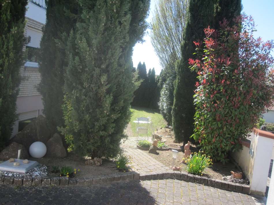 Vorgarten Westseite