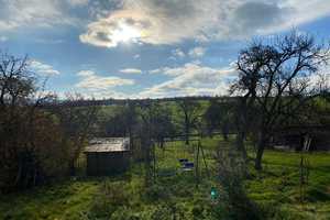 2 Häuser mit großer Grünlandfläche und Weitblick - Ruhiger Wohntraum für Natur- u. Tierliebhaber – Karlsruhe (Kreis) – Vorschaubild 8