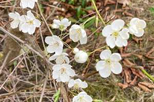 Property thumbnail 10