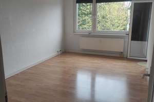 Helle 3 Zimmer Wohnung am Salzgittersee