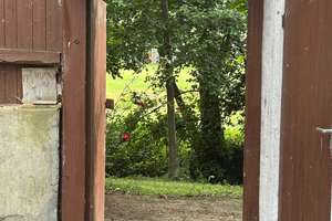 Idyllische Hofstelle am Kollbach – großzügiges Anwesen im Herzen von Malgersdorf – Die vollständige Adresse der Immobilie erhältst du vom Anbieter., 84333 Malgersdorf – Vorschaubild 6