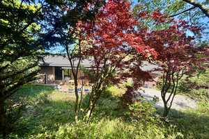 Naturoase in Rott – Freistehendes Architektenhaus - Terrasse nach Süden – 1.951 m² Grundstück – Aachen (Kreis) – Vorschaubild 22