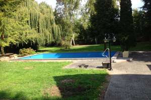 Exklusives Anwesen mit großem Haus, Ferienhaus und Pool - Energetisch saniert! – Die vollständige Adresse der Immobilie erhältst du vom Anbieter., 67454 Haßloch – Vorschaubild 15