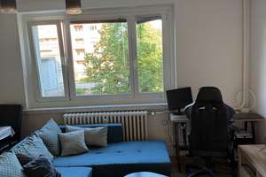 Wohnen mit Charakter: Zwei-Zimmer-Wohnung in Dresden-Johannstadt – Reißigerstraße 25, 1307 Johannstadt-Süd, Dresden – Vorschaubild 10