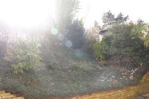 Einfamilienhaus mit herrlichem Garten und Platz für all Ihre Ideen – Neuss (Rhein-Kreis) – Vorschaubild 19