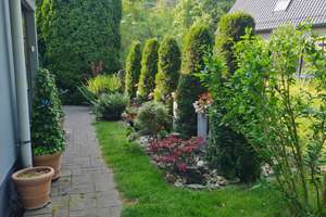 Property thumbnail 10