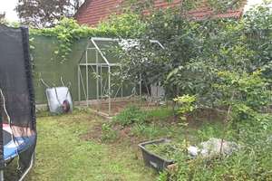 Ein.- bis Zweifamilienhaus mit zusätzlichem Baugrundstück u. großem Garten – Die vollständige Adresse der Immobilie erhältst du vom Anbieter., 68804 Altlußheim – Vorschaubild 32