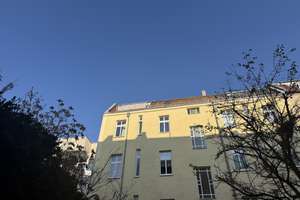 Helle Dachgeschosswohnung mit Sonnenbalkon in ruhiger Lage – Kurfürstenstraße 34, 12105 Mariendorf, Berlin – Vorschaubild 4