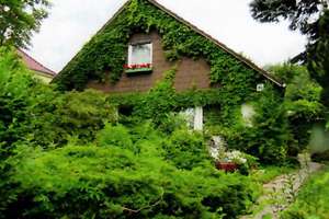 Property thumbnail 13