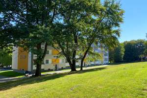 Barrierearme und frisch renovierte 3-Zimmer Wohnung im EG – Steinfurtweg 25, 44379 Kirchlinde, Dortmund – Vorschaubild 1