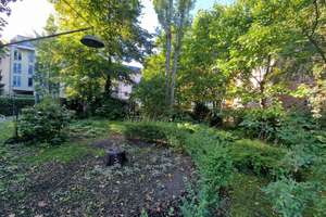 Property thumbnail 13