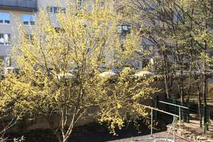 Alltagstaugliche 3 Zimmer in Köln mit Balkon – Mauritiuswall 27, 50674 Altstadt/Süd, Köln – Vorschaubild 9