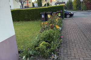 Kompakte  und Helle  Wohnung in Wiesbaden-Biebrich