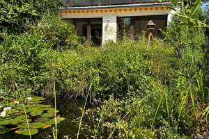 Großzügiges 2-Parteienhaus mit großem Grundstück, Terrasse & Wellnessbereich in Köln-Lövenich – Die vollständige Adresse der Immobilie erhältst du vom Anbieter., 50859 Lövenich, Köln – Vorschaubild 29
