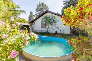 Haus im Bungalow-Stil auf großem Grundstück mit traumhaftem Garten, altem Baumbestand und Pool – Die vollständige Adresse der Immobilie erhältst du vom Anbieter., 55246 Mainz-Kostheim, Wiesbaden – Vorschaubild 9