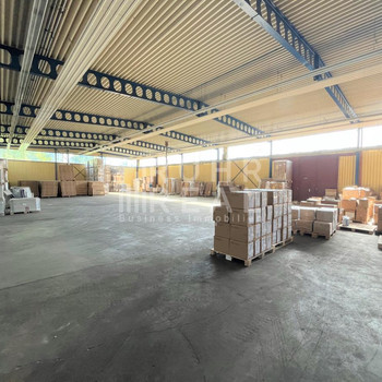 Gepflegte Hallenfläche in Haan | vielseitig nutzbar | ebenerdige Andienung