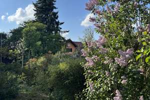 Großzügiges  Einfamilienhaus mit 6 Zimmern - ideal für Familien die viel Platz benötigen  – Die vollständige Adresse der Immobilie erhältst du vom Anbieter., 82061 Neuried – Vorschaubild 36
