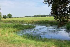 NEUBAUPROJEKT mit Blick auf Hollerfleet in Bremen Borgfeld - Am Lehester Deich 107 – Am Lehester Deich 107, 28357 Lehesterdeich, Bremen – Vorschaubild 8