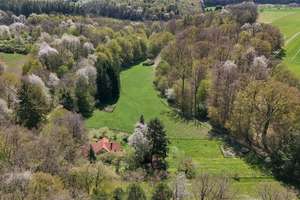Landhaus in Alleinlage im Taunus - Idylle pur - separates Gästehaus, nur 40 Min. bis Frankfurt – Die vollständige Adresse der Immobilie erhältst du vom Anbieter., 61279 Grävenwiesbach – Vorschaubild 3