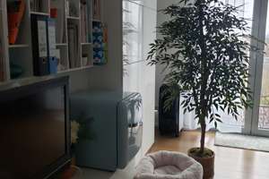 Wunderschöne Stadtvilla mit Kamin und Galerie toller Lage – Die vollständige Adresse der Immobilie erhältst du vom Anbieter., 67661 Dansenberg, Kaiserslautern – Vorschaubild 12