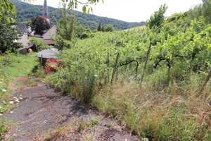 Einfamilienhaus mit viel Platz für Hobby und Beruf, in hochwassersicherer Lage von Ediger-Eller – Cochem-Zell (Kreis) – Vorschaubild 26