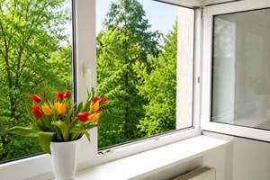 Vier Zimmer über dem Rosenthal, Gohlis-Süd – Die vollständige Adresse der Immobilie erhältst du vom Anbieter., 4155 Gohlis-Süd, Leipzig – Vorschaubild 8