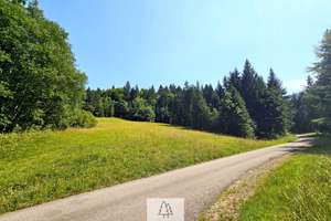 Einzigartiges Naturjuwel in den Allgäuer Alpen – anerkannte Alpe mit Wald- und Weideflächen – Die vollständige Adresse der Immobilie erhältst du vom Anbieter., 87538 Balderschwang – Vorschaubild 9