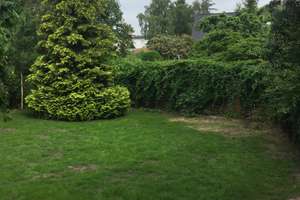 Am Stadtpark Elmshorn, ruhig + grün – Die vollständige Adresse der Immobilie erhältst du vom Anbieter., 25336 Elmshorn – Vorschaubild 19