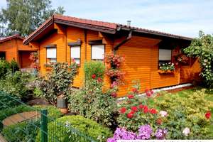 Freizeitgrundstück in Potsdam-Babelsberg | Eigentumsgrundstück mit Bungalow und Gartenidylle – Die vollständige Adresse der Immobilie erhältst du vom Anbieter., 14480 Am Stern, Potsdam – Vorschaubild 9