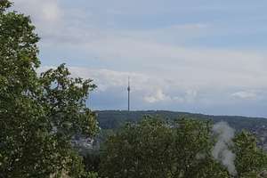 1-Zimmer-Wohnung in Top-Lage in Bad Cannstatt – Die vollständige Adresse der Immobilie erhältst du vom Anbieter., 70374 Schmidener Vorstadt, Stuttgart – Vorschaubild 7