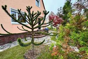 PREIS RUNTER - EFH + Wintergarten + überdachtem Pool + Garage + Sonnengarten – Teltow-Fläming (Kreis) – Vorschaubild 29