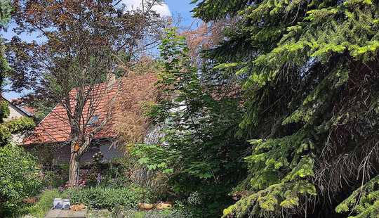 Bild von Gartenparadies mit Terrassen, Pool, Scheune und Garage, Wohnhaus mit 2 WE