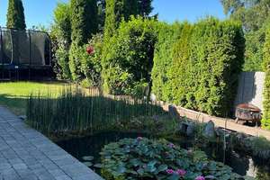 Modernes Einfamilienhaus mit Wintergarten, Doppelgarage und liebevoll angelegtem Garten in Schwendi – Die vollständige Adresse der Immobilie erhältst du vom Anbieter., 88477 Schwendi – Vorschaubild 7