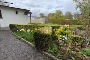 Einfamilienhaus in der Nähe des Stadtweihers!!!  Mit Garage & Garten!!! – Birkenfeld (Kreis) – Vorschaubild 31