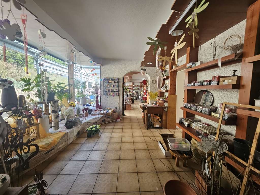 Immobilie in Elmstein - Wohnhaus- und Geschäftshaus mit großem Grundstück im Gewerbegebiet Elmstein - Bild 4