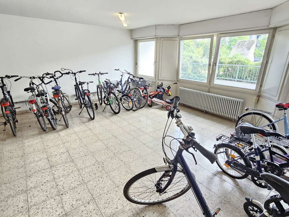 20250915_121113_resized