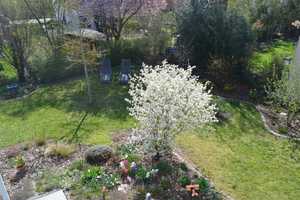 Repräsentative Villa im Bauhaus-Stil mit herrlichem Garten – Alzey-Worms (Kreis) – Vorschaubild 12