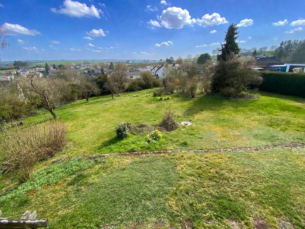 Immobilie in Dudeldorf - Einfamilienhaus mit Traumgrundstück! - Bild 3