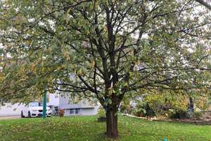 Dreifamilienhaus in schöner und ruhiger Wohnlage im Stadtteil Katterbach – Die vollständige Adresse der Immobilie erhältst du vom Anbieter., 51467 Katterbach, Bergisch Gladbach – Vorschaubild 10