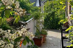 Günstige Gelegenheit - Gepflegtes Einfamilienhaus mit 2 Bäder und großzügigen Traumgarten – Germersheim (Kreis) – Vorschaubild 15